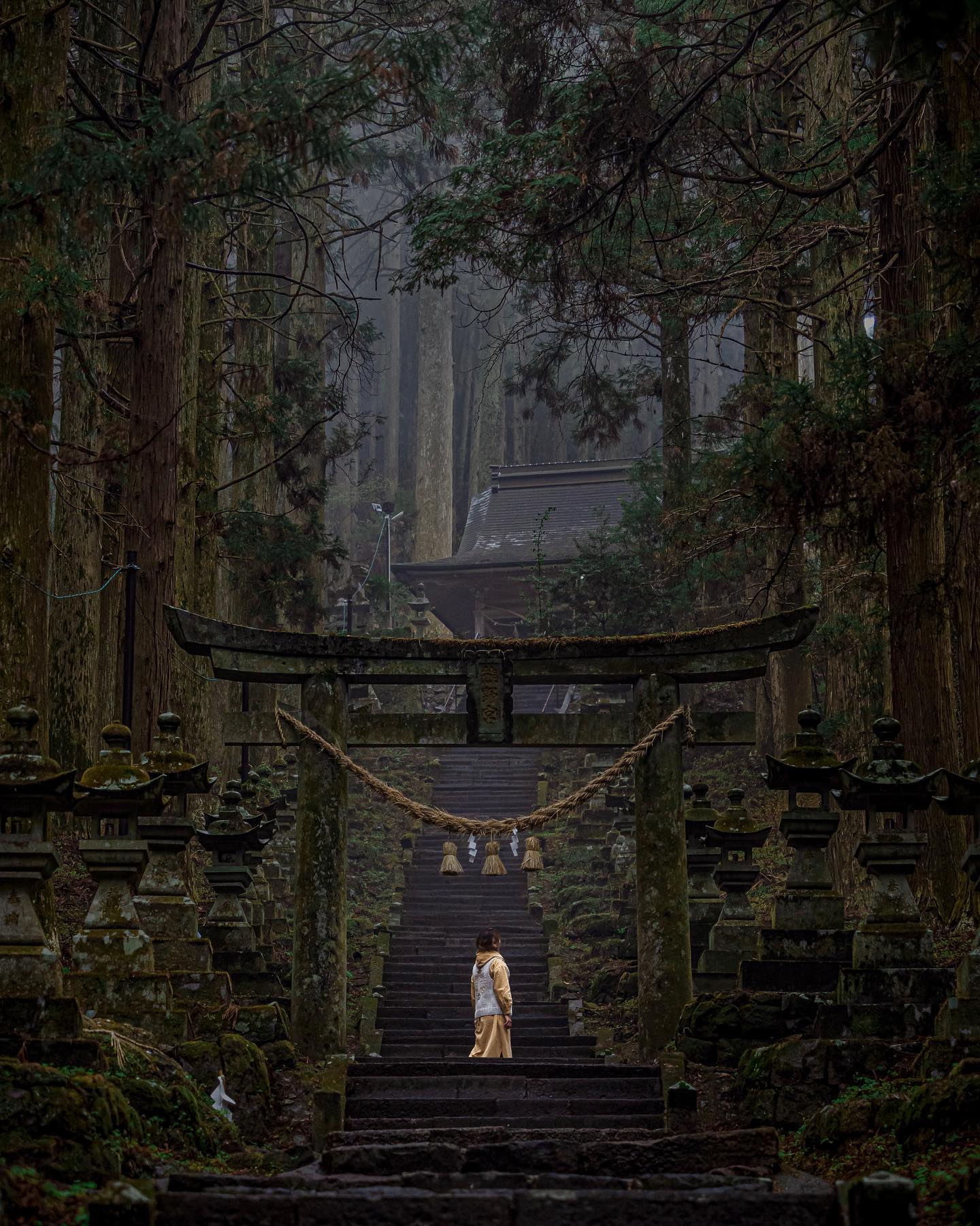 雨の日こそ美しい景色✨
　
るろ剣実写版のワンシーンで使われた、熊本県の上色見熊野座神社⛩
⁡
華やかさは無いけれど、苔に覆われ杉の木の中にひっそりと佇む様子は、雨の日こそしっとりと美しいと感じる場所だった✨
⁡
こーゆーとこ好きです💕
　
⁡
📍上色見熊野座神社（阿蘇市）
⁡
熊本旅はこちら→ #meg_kumamoto
⁡
 
⁡
𓇼Megumi's Instagram𓇼
⁡
@travel.richwoman
⁡
〜旅先での一瞬を永遠に残すアートフォト〜
⁡
年間180日以上世界や日本を旅をしながら暮らしています✨
旅先で出会った素敵な景色を、いつまでも残る鮮やかなアートのように🎨撮影してます📸
⁡
コメント＆フォローはお気軽に♪
撮影やお仕事のご依頼はDMください📩
⁡
⁡
⁡
⁡
#jalトラベルレポーター 
#熊本旅
#上色見熊野座神社 
#japan 
#kumamoto 
#阿蘇 
#熊本観光 

　
　
#genic_japan #genic_mag #photo_travelers #japantravelgallery #rakutentravel #jalan_travel #retrip_news #japan_travel #東京カメラガールズ #カメラガールズ #東京カメラ部 #秘境トラベラー #東京女子部 #JALトラベルレポーター #タビノタネ #春のときめき #誰かに見せたい風景 #国内旅行